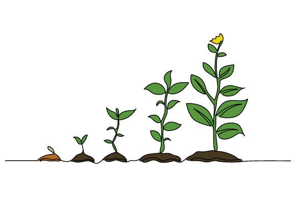 Download One Line Drawing Infographic Tree Vector - One line Collection